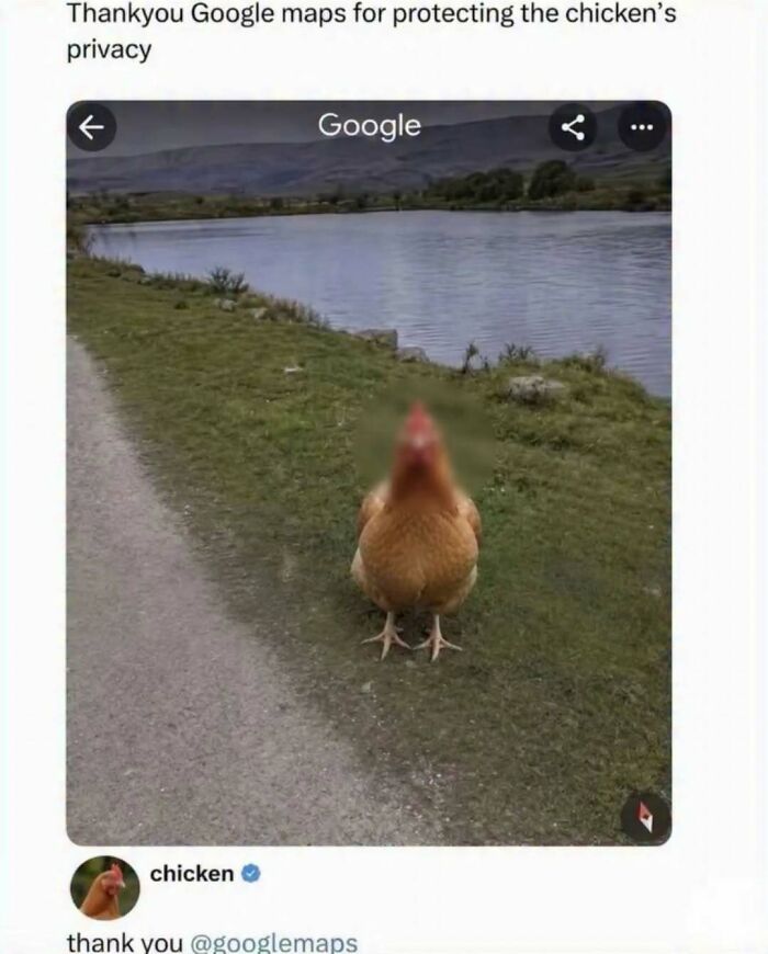 If You Need A Quick Laugh Today, These 66 Random Memes Are Exactly What You Should See If You Need A Quick Laugh Today, These 66 Random Memes Are Exactly What You Should See