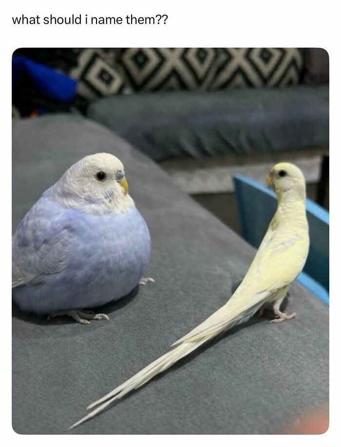 If You Need A Quick Laugh Today, These 66 Random Memes Are Exactly What You Should See If You Need A Quick Laugh Today, These 66 Random Memes Are Exactly What You Should See