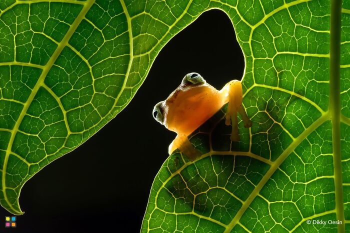34 Stunning Shots From HIPA’s “Photo Of The Day” That Capture The Beauty Of Our World 34 Stunning Shots From HIPA’s “Photo Of The Day” That Capture The Beauty Of Our World