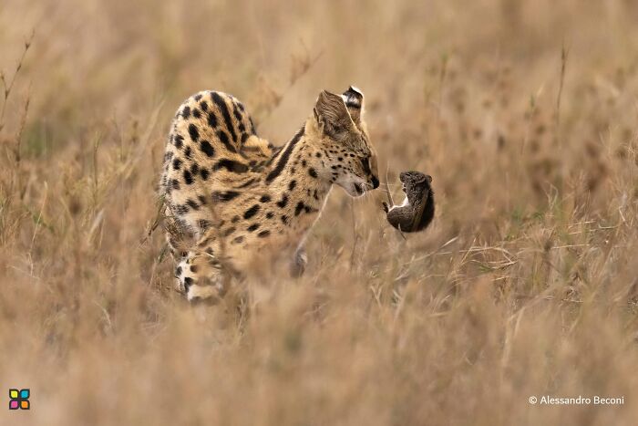 34 Stunning Shots From HIPA’s “Photo Of The Day” That Capture The Beauty Of Our World 34 Stunning Shots From HIPA’s “Photo Of The Day” That Capture The Beauty Of Our World