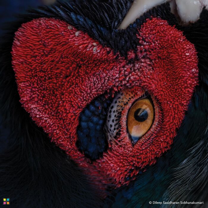 34 Stunning Shots From HIPA’s “Photo Of The Day” That Capture The Beauty Of Our World 34 Stunning Shots From HIPA’s “Photo Of The Day” That Capture The Beauty Of Our World