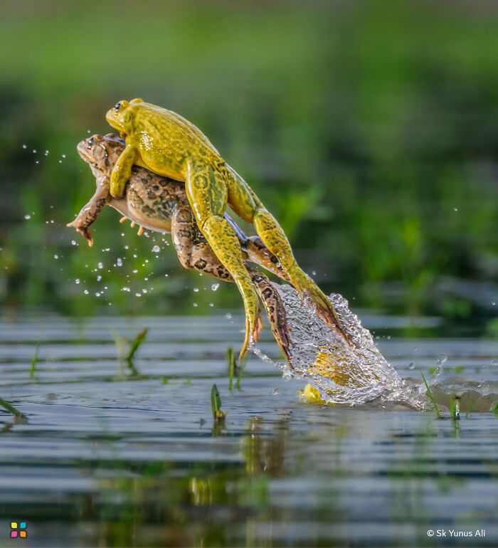 34 Stunning Shots From HIPA’s “Photo Of The Day” That Capture The Beauty Of Our World 34 Stunning Shots From HIPA’s “Photo Of The Day” That Capture The Beauty Of Our World