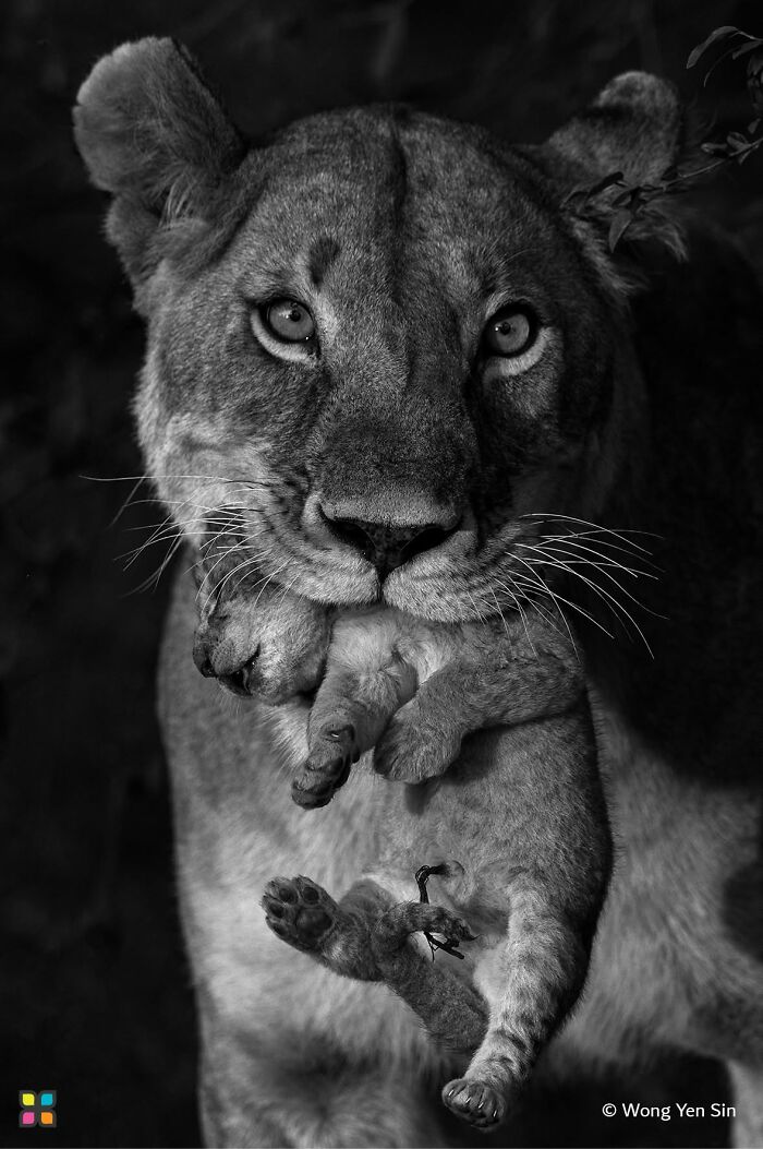 34 Stunning Shots From HIPA’s “Photo Of The Day” That Capture The Beauty Of Our World 34 Stunning Shots From HIPA’s “Photo Of The Day” That Capture The Beauty Of Our World