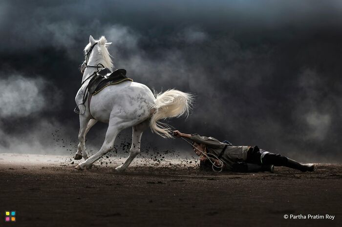 34 Stunning Shots From HIPA’s “Photo Of The Day” That Capture The Beauty Of Our World 34 Stunning Shots From HIPA’s “Photo Of The Day” That Capture The Beauty Of Our World