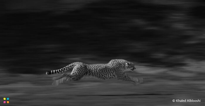 34 Stunning Shots From HIPA’s “Photo Of The Day” That Capture The Beauty Of Our World 34 Stunning Shots From HIPA’s “Photo Of The Day” That Capture The Beauty Of Our World