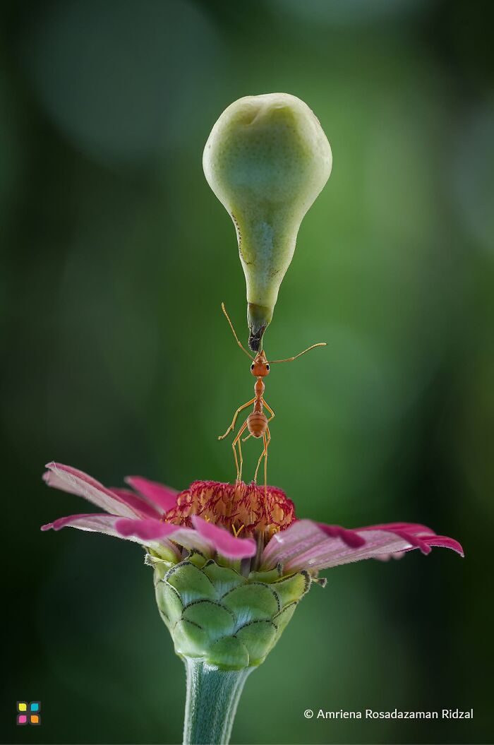 34 Stunning Shots From HIPA’s “Photo Of The Day” That Capture The Beauty Of Our World 34 Stunning Shots From HIPA’s “Photo Of The Day” That Capture The Beauty Of Our World