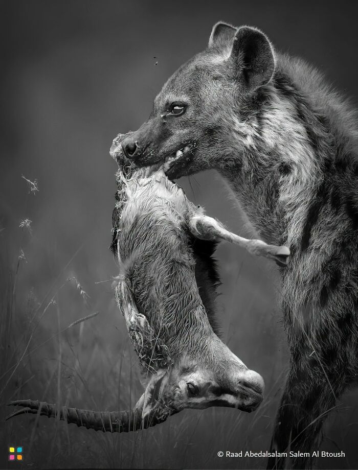 34 Stunning Shots From HIPA’s “Photo Of The Day” That Capture The Beauty Of Our World 34 Stunning Shots From HIPA’s “Photo Of The Day” That Capture The Beauty Of Our World