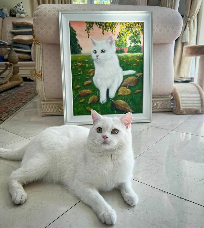 301 Adorable White Cats That Somehow Look Majestic Even When They’re Being Ridiculous 301 Adorable White Cats That Somehow Look Majestic Even When They’re Being Ridiculous