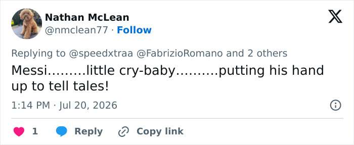 “My Idol Making A Fool Of Himself”: Fans Turn On Lionel Messi Over “Shameful” Move During World Cup Final “My Idol Making A Fool Of Himself”: Fans Turn On Lionel Messi Over “Shameful” Move During World Cup Final