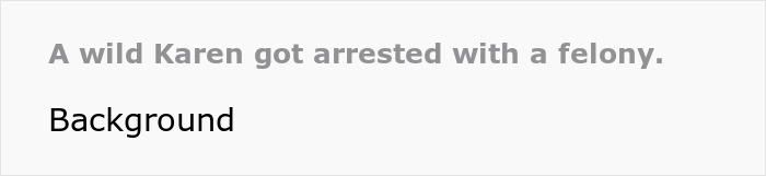 “Karen” Harasses Autistic Kid For Skipping Ride Lines, Kicks Service Dog, Ends Up Arrested For Felony “Karen” Harasses Autistic Kid For Skipping Ride Lines, Kicks Service Dog, Ends Up Arrested For Felony