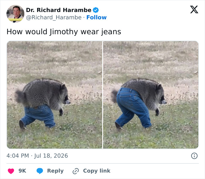 23 Memes That Capture The World’s Unhinged Obsession With An Unusually Shaped Raccoon Named “Jimothy” 23 Memes That Capture The World’s Unhinged Obsession With An Unusually Shaped Raccoon Named “Jimothy”