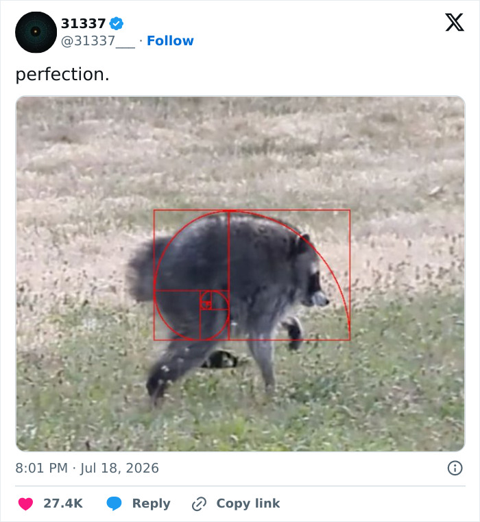23 Memes That Capture The World’s Unhinged Obsession With An Unusually Shaped Raccoon Named “Jimothy” 23 Memes That Capture The World’s Unhinged Obsession With An Unusually Shaped Raccoon Named “Jimothy”