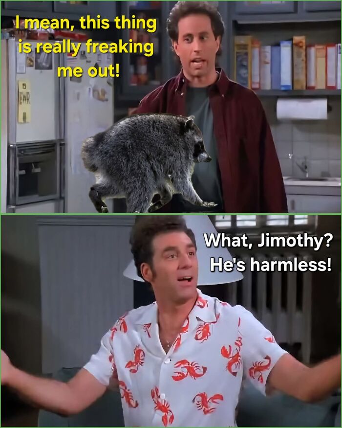 23 Memes That Capture The World’s Unhinged Obsession With An Unusually Shaped Raccoon Named “Jimothy” 23 Memes That Capture The World’s Unhinged Obsession With An Unusually Shaped Raccoon Named “Jimothy”