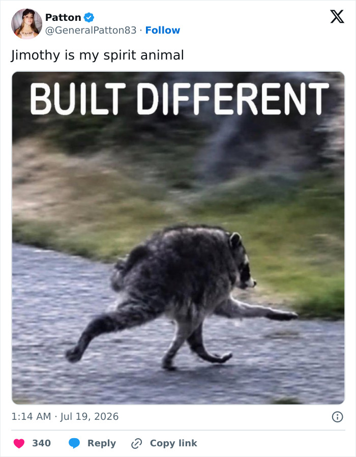 23 Memes That Capture The World’s Unhinged Obsession With An Unusually Shaped Raccoon Named “Jimothy” 23 Memes That Capture The World’s Unhinged Obsession With An Unusually Shaped Raccoon Named “Jimothy”