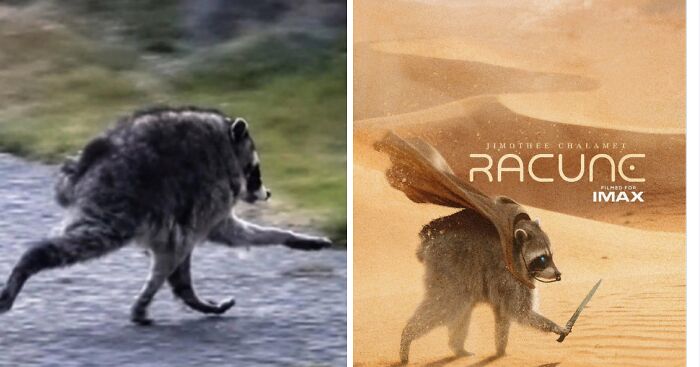 23 Memes That Capture The World’s Unhinged Obsession With An Unusually Shaped Raccoon Named “Jimothy” 23 Memes That Capture The World’s Unhinged Obsession With An Unusually Shaped Raccoon Named “Jimothy”