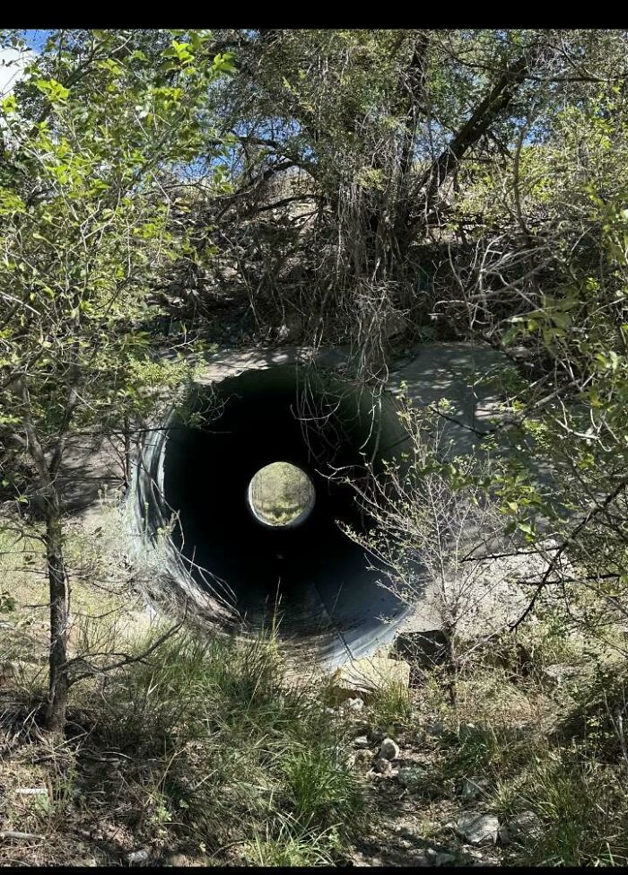 109 Photos That Completely Confused People Until They Looked A Little Closer 109 Photos That Completely Confused People Until They Looked A Little Closer