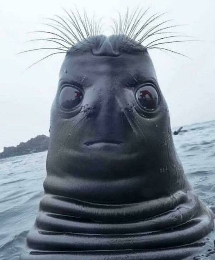 109 Photos That Completely Confused People Until They Looked A Little Closer 109 Photos That Completely Confused People Until They Looked A Little Closer