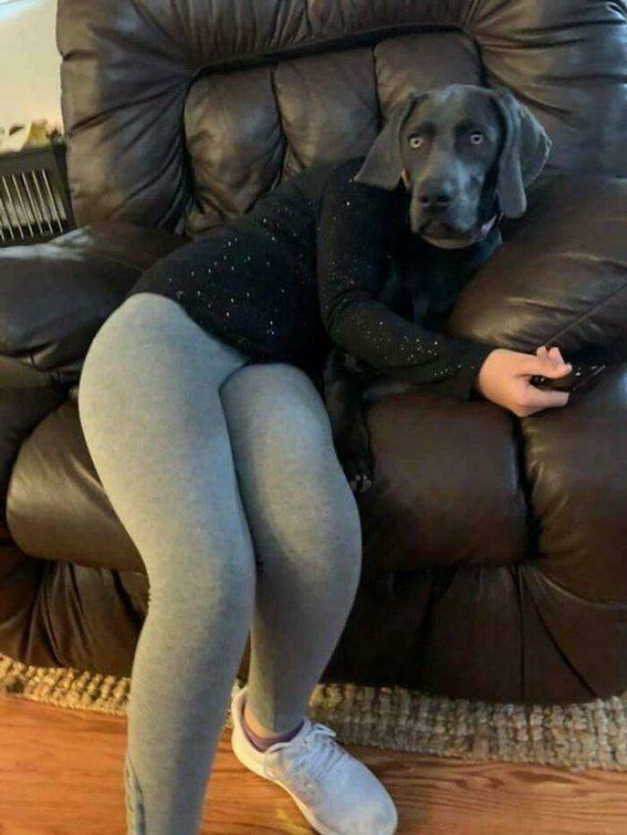 109 Photos That Completely Confused People Until They Looked A Little Closer 109 Photos That Completely Confused People Until They Looked A Little Closer