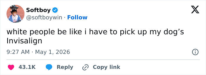 111 Funny Posts That Perfectly Capture The Reality Of Being An Adult 111 Funny Posts That Perfectly Capture The Reality Of Being An Adult