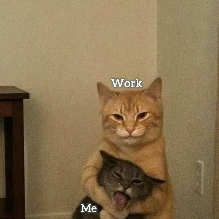 34 Painfully Relatable Memes To Help You Cope With Having To Work Tomorrow Again 34 Painfully Relatable Memes To Help You Cope With Having To Work Tomorrow Again