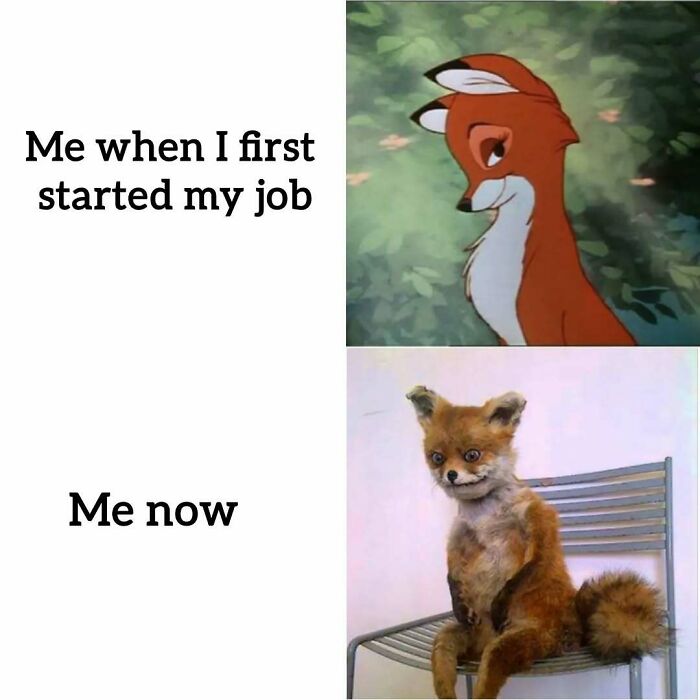 34 Painfully Relatable Memes To Help You Cope With Having To Work Tomorrow Again 34 Painfully Relatable Memes To Help You Cope With Having To Work Tomorrow Again