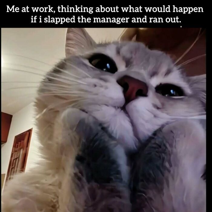 34 Painfully Relatable Memes To Help You Cope With Having To Work Tomorrow Again 34 Painfully Relatable Memes To Help You Cope With Having To Work Tomorrow Again