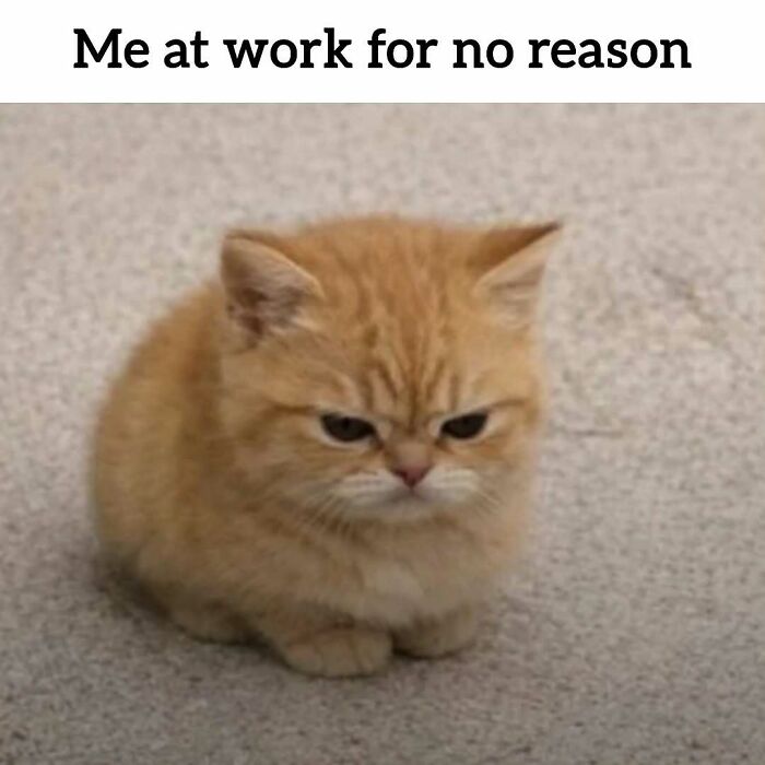 34 Painfully Relatable Memes To Help You Cope With Having To Work Tomorrow Again 34 Painfully Relatable Memes To Help You Cope With Having To Work Tomorrow Again
