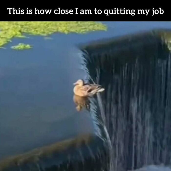 34 Painfully Relatable Memes To Help You Cope With Having To Work Tomorrow Again 34 Painfully Relatable Memes To Help You Cope With Having To Work Tomorrow Again