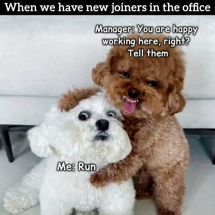 34 Painfully Relatable Memes To Help You Cope With Having To Work Tomorrow Again 34 Painfully Relatable Memes To Help You Cope With Having To Work Tomorrow Again