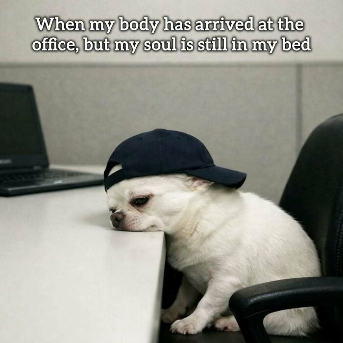 34 Painfully Relatable Memes To Help You Cope With Having To Work Tomorrow Again 34 Painfully Relatable Memes To Help You Cope With Having To Work Tomorrow Again