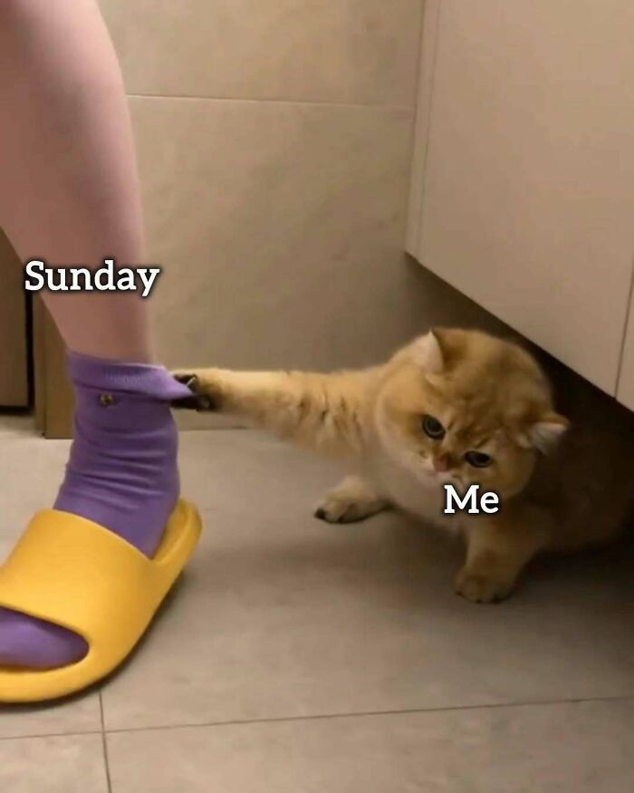 34 Painfully Relatable Memes To Help You Cope With Having To Work Tomorrow Again 34 Painfully Relatable Memes To Help You Cope With Having To Work Tomorrow Again