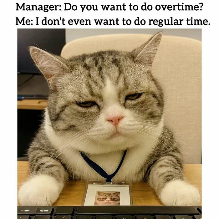 34 Painfully Relatable Memes To Help You Cope With Having To Work Tomorrow Again 34 Painfully Relatable Memes To Help You Cope With Having To Work Tomorrow Again