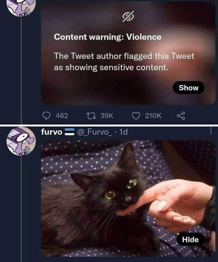 49 Hilarious Memes That Perfectly Capture What It’s Like To Share A Home With Cats 49 Hilarious Memes That Perfectly Capture What It’s Like To Share A Home With Cats
