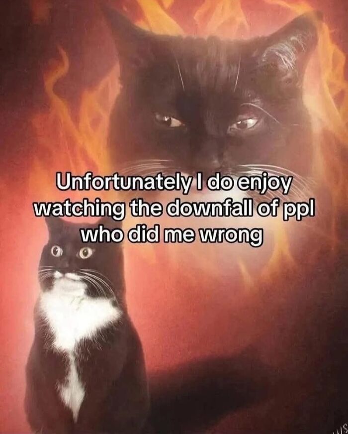 49 Hilarious Memes That Perfectly Capture What It’s Like To Share A Home With Cats 49 Hilarious Memes That Perfectly Capture What It’s Like To Share A Home With Cats
