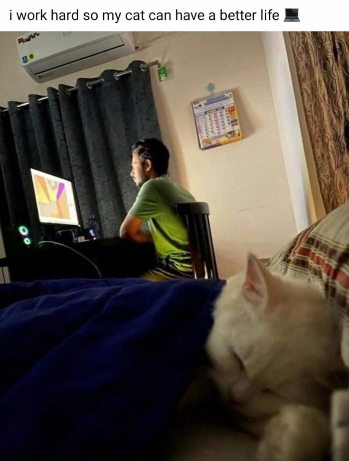 49 Hilarious Memes That Perfectly Capture What It’s Like To Share A Home With Cats 49 Hilarious Memes That Perfectly Capture What It’s Like To Share A Home With Cats