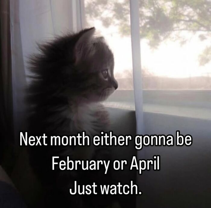 49 Hilarious Memes That Perfectly Capture What It’s Like To Share A Home With Cats 49 Hilarious Memes That Perfectly Capture What It’s Like To Share A Home With Cats