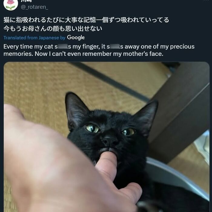 49 Hilarious Memes That Perfectly Capture What It’s Like To Share A Home With Cats 49 Hilarious Memes That Perfectly Capture What It’s Like To Share A Home With Cats