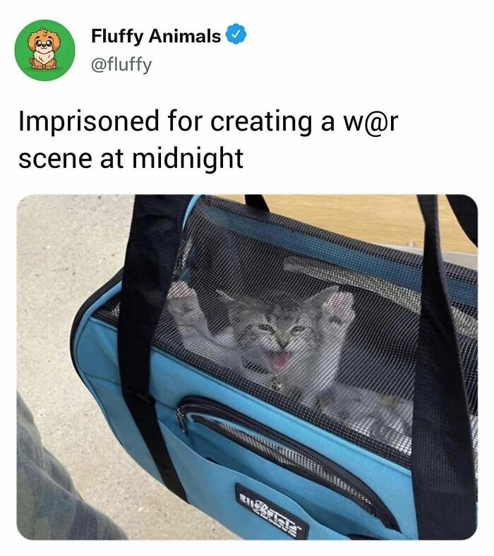 49 Hilarious Memes That Perfectly Capture What It’s Like To Share A Home With Cats 49 Hilarious Memes That Perfectly Capture What It’s Like To Share A Home With Cats