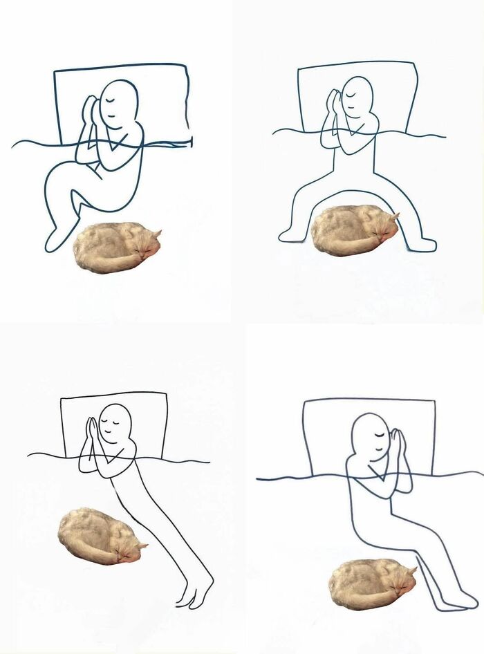 49 Hilarious Memes That Perfectly Capture What It’s Like To Share A Home With Cats 49 Hilarious Memes That Perfectly Capture What It’s Like To Share A Home With Cats