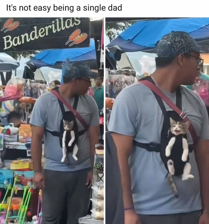 49 Hilarious Memes That Perfectly Capture What It’s Like To Share A Home With Cats 49 Hilarious Memes That Perfectly Capture What It’s Like To Share A Home With Cats