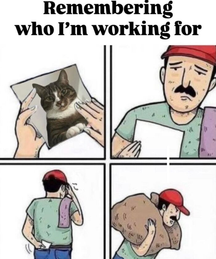 49 Hilarious Memes That Perfectly Capture What It’s Like To Share A Home With Cats 49 Hilarious Memes That Perfectly Capture What It’s Like To Share A Home With Cats