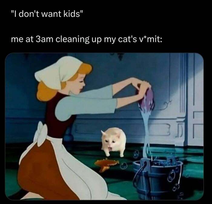 49 Hilarious Memes That Perfectly Capture What It’s Like To Share A Home With Cats 49 Hilarious Memes That Perfectly Capture What It’s Like To Share A Home With Cats