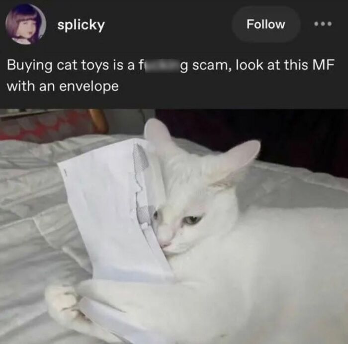 49 Hilarious Memes That Perfectly Capture What It’s Like To Share A Home With Cats 49 Hilarious Memes That Perfectly Capture What It’s Like To Share A Home With Cats