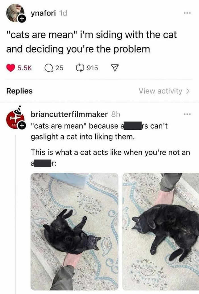 49 Hilarious Memes That Perfectly Capture What It’s Like To Share A Home With Cats 49 Hilarious Memes That Perfectly Capture What It’s Like To Share A Home With Cats