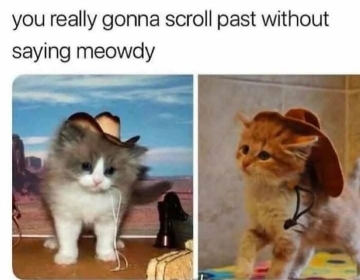 49 Hilarious Memes That Perfectly Capture What It’s Like To Share A Home With Cats 49 Hilarious Memes That Perfectly Capture What It’s Like To Share A Home With Cats