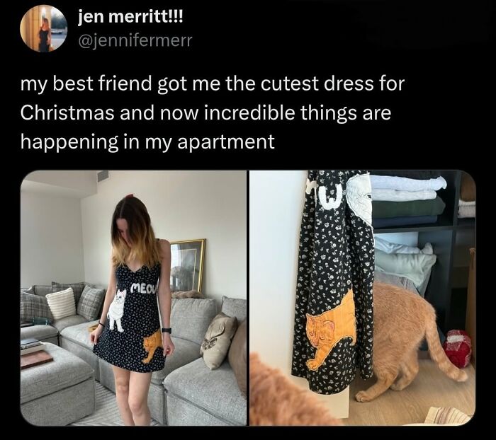 49 Hilarious Memes That Perfectly Capture What It’s Like To Share A Home With Cats 49 Hilarious Memes That Perfectly Capture What It’s Like To Share A Home With Cats
