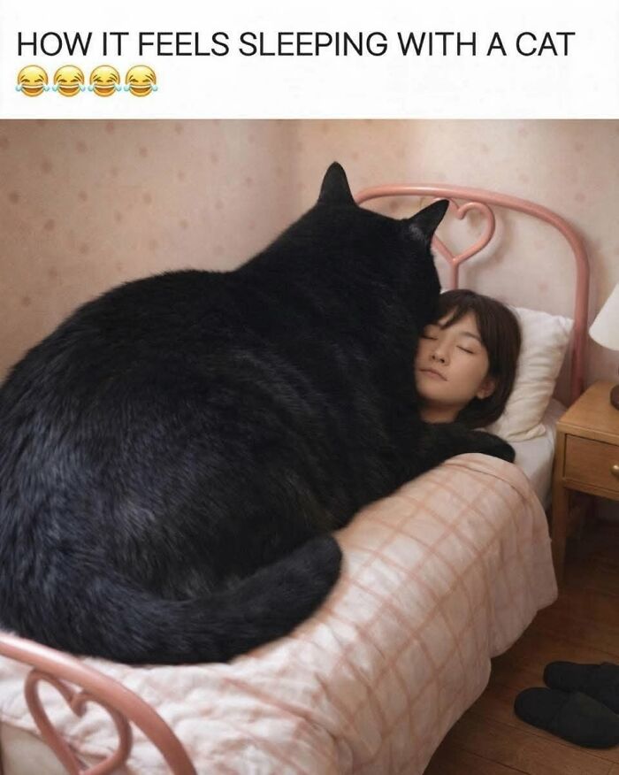 49 Hilarious Memes That Perfectly Capture What It’s Like To Share A Home With Cats 49 Hilarious Memes That Perfectly Capture What It’s Like To Share A Home With Cats