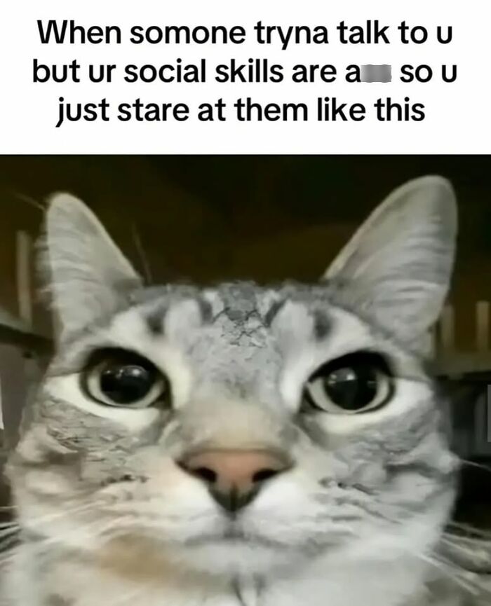 49 Hilarious Memes That Perfectly Capture What It’s Like To Share A Home With Cats 49 Hilarious Memes That Perfectly Capture What It’s Like To Share A Home With Cats