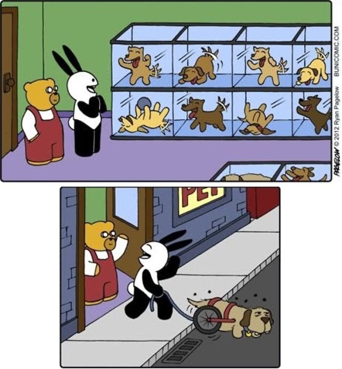 34 New ‘Buni’ Comics By Ryan Pagelow Full Of Dark Humor And Unexpected Twists 34 New ‘Buni’ Comics By Ryan Pagelow Full Of Dark Humor And Unexpected Twists