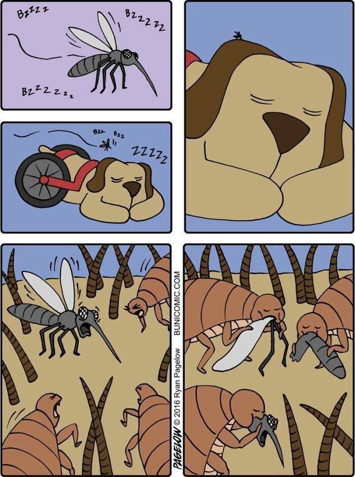 34 New ‘Buni’ Comics By Ryan Pagelow Full Of Dark Humor And Unexpected Twists 34 New ‘Buni’ Comics By Ryan Pagelow Full Of Dark Humor And Unexpected Twists